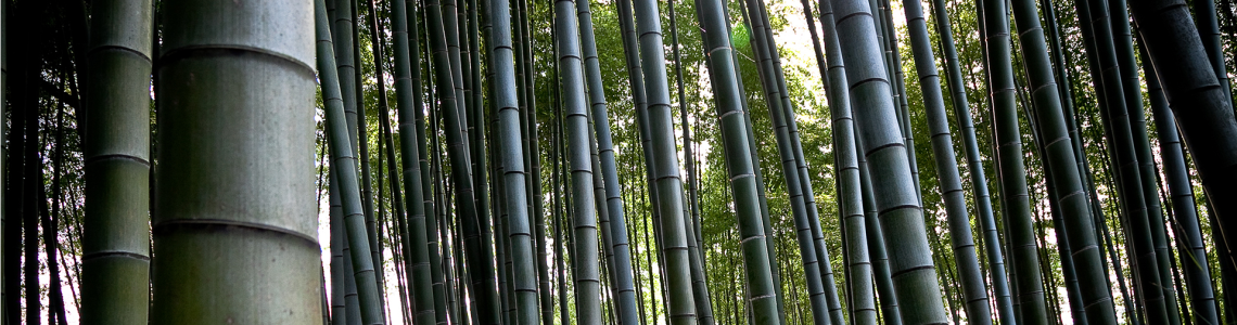 Spielemine Online Shop