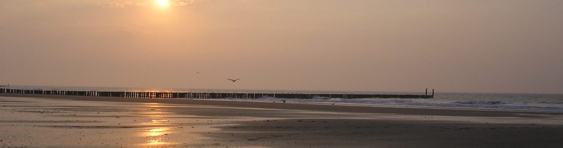 Spielemine Online Shop